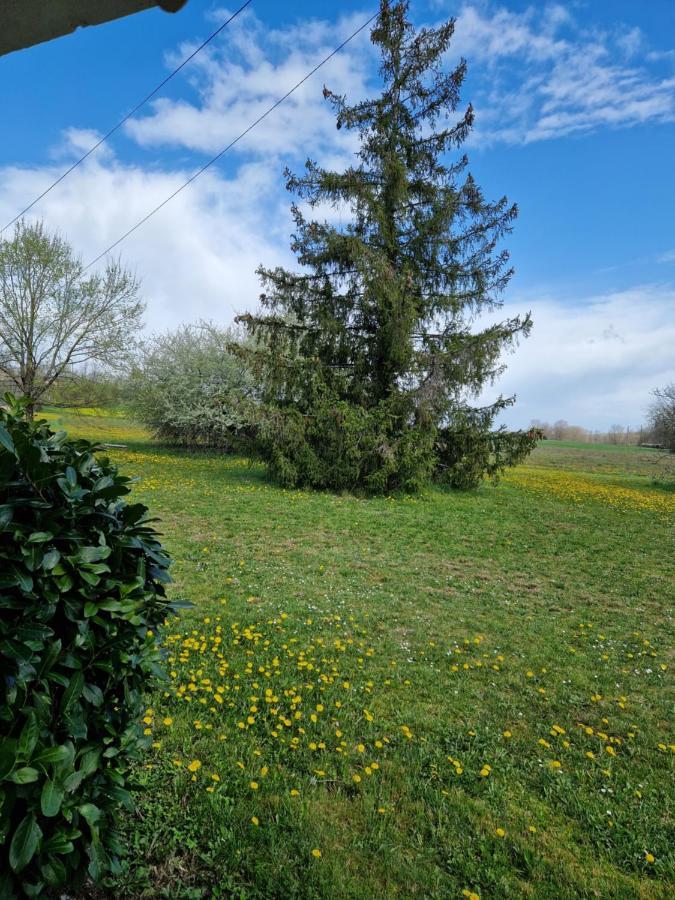 Maison Cassin47 Lavergne  Dış mekan fotoğraf